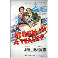 Буря в стакане воды / Storm in a Teacup (Вивьен Ли)  DVD5